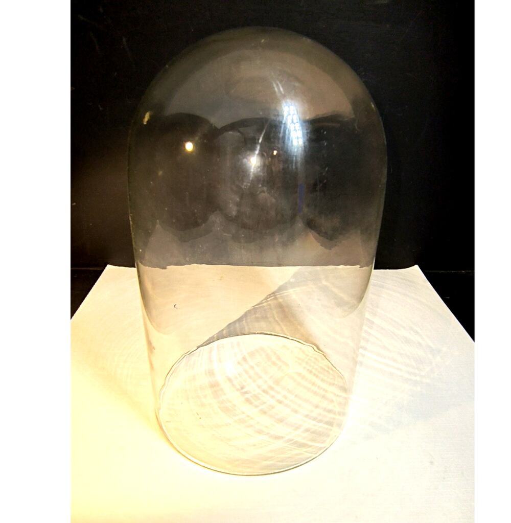 1641.  Glass Cloche Bell Cover Dome Replacement